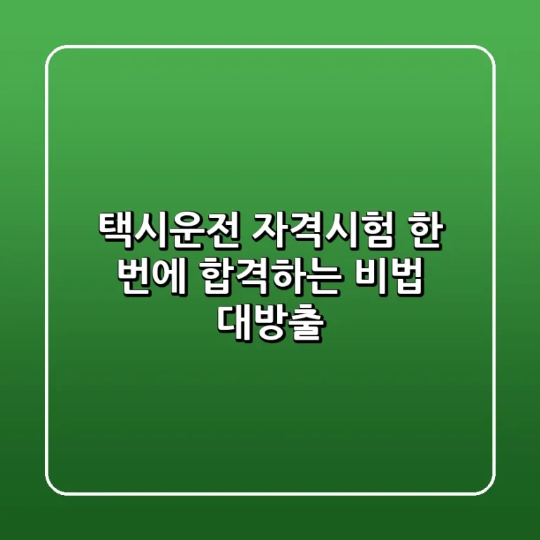 택시운전 자격시험 한 번에 합격하는 비법 대방출