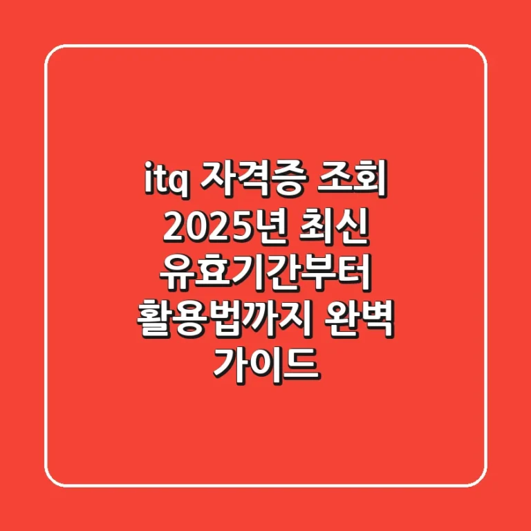 itq 자격증 조회: 2025년 최신 유효기간부터 활용법까지 완벽 가이드
