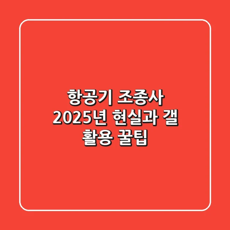 항공기 조종사, 2025년 현실과 '갤' 활용 꿀팁