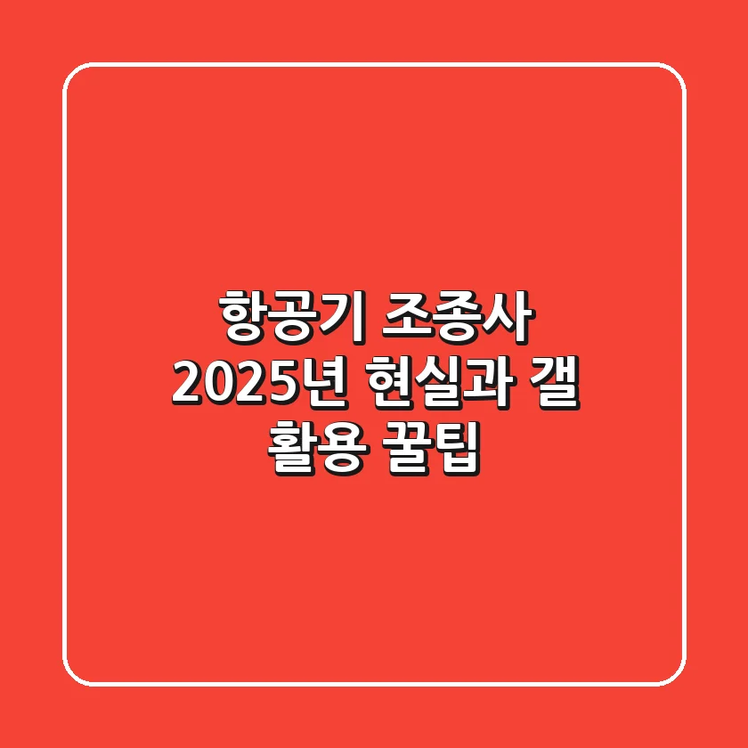 항공기 조종사, 2025년 현실과 '갤' 활용 꿀팁