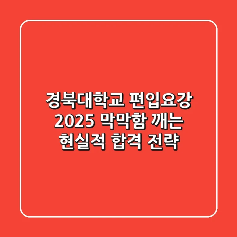 경북대학교 편입요강 2025, 막막함 깨는 현실적 합격 전략