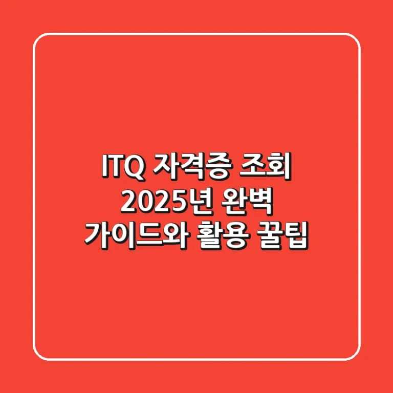 ITQ 자격증 조회, 2025년 완벽 가이드와 활용 꿀팁