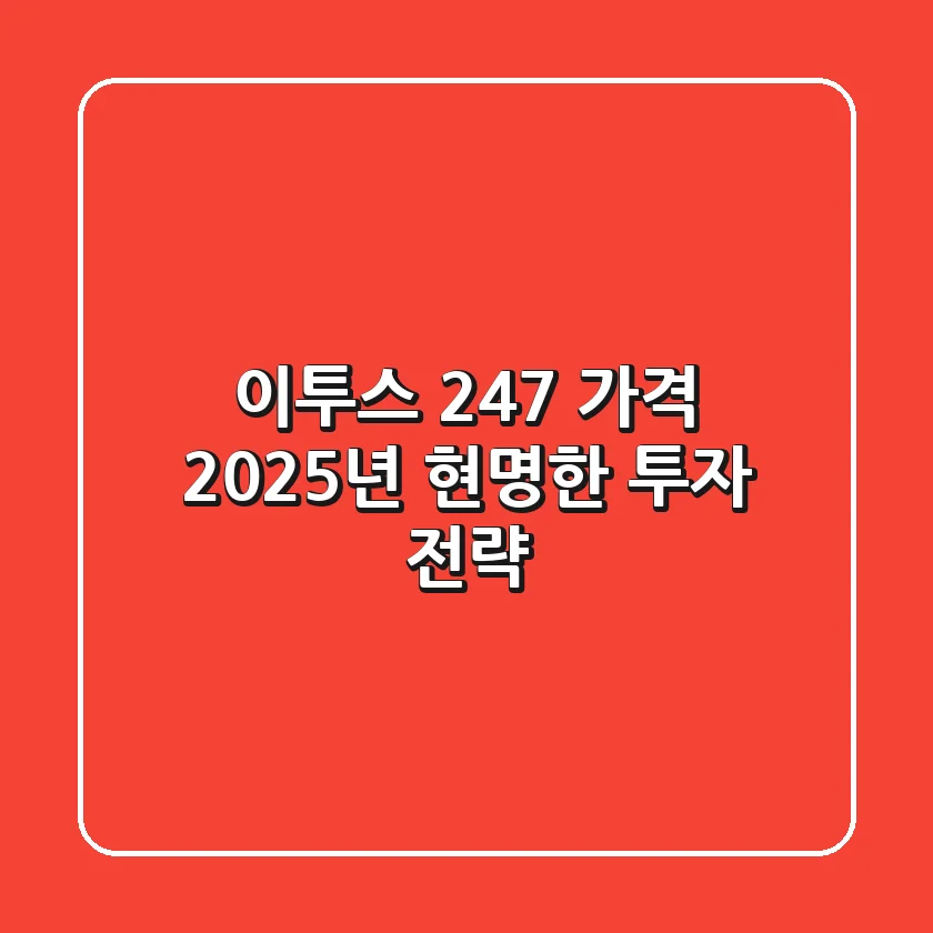 이투스 247 가격, 2025년 현명한 투자 전략