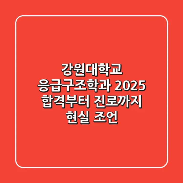 강원대학교 응급구조학과: 2025 합격부터 진로까지 현실 조언