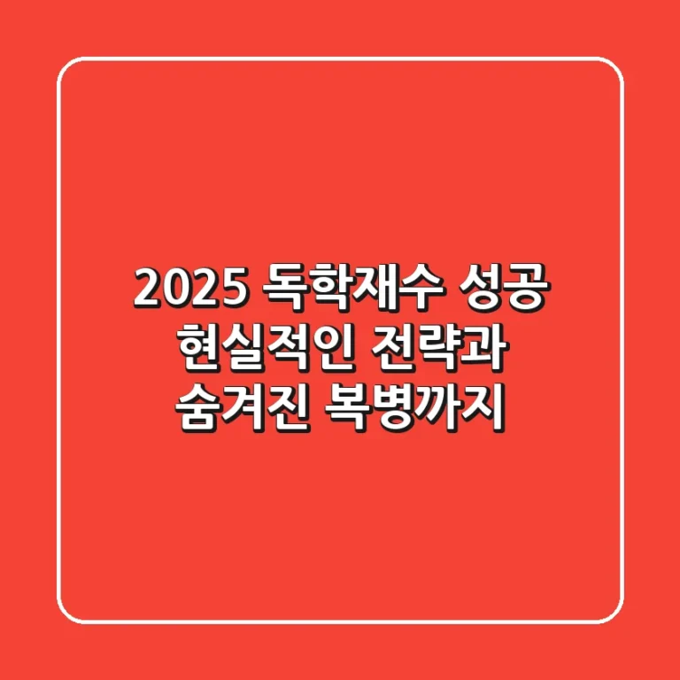 2025 독학재수 성공, 현실적인 전략과 숨겨진 복병까지